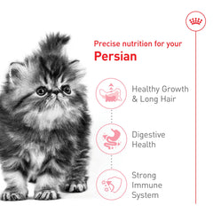 Royal Canin Persian Kitten 3 lb bag packaging, convenient for ongoing meals.