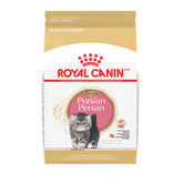 Royal Canin Persian Kitten kibble close-up for easy pickup and digestion.