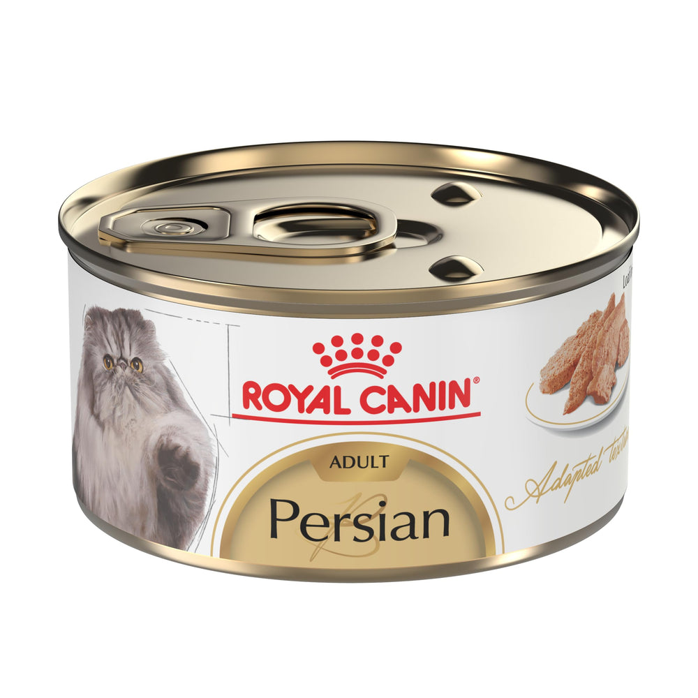 Royal Canin Persian Loaf in Sauce served in a bowl for a palatable, coat-nourishing meal.
