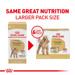 Serving bowl of Royal Canin Poodle Adult wet food highlighting complete nutrition