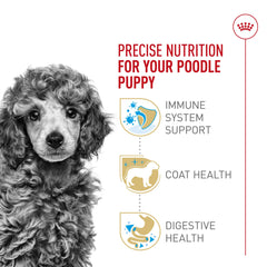 Royal Canin Poodle Puppy with antioxidants and vitamin E for immune support