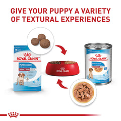 Royal Canin puppy formula with antioxidants and prebiotics promoting immune and digestive health.