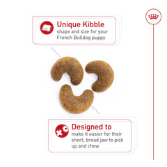 Royal Canin puppy kibble with antioxidants supports immune development.