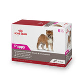 Royal Canin puppy loaf in sauce can—appetizing meal for growing puppies