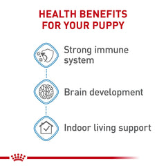Royal Canin puppy enjoying a meal, balanced nutrition for growth