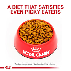 Close-up of Renal Support F kibble with round flavorful shape.