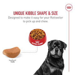 Royal Canin Rottweiler Adult supports muscle mass with precise protein and L-carnitine