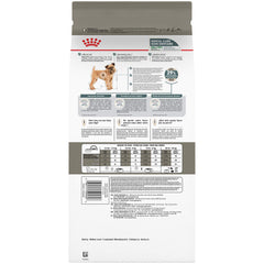 Royal Canin Small Dental Care dog chewing to help reduce plaque.