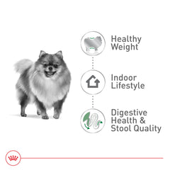 Royal Canin measure cup for precise kibble portioning.