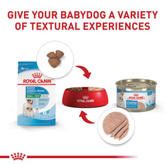 Royal Canin Small Starter antioxidants support immune development