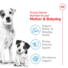 Royal Canin Small Starter transitioning puppies from milk to solid