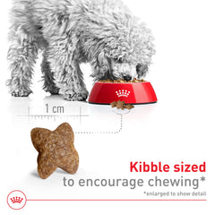 Royal Canin Small Adult strong bones formula with calcium and phosphorus