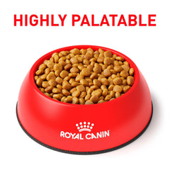 Royal Canin Urinary SO bag back with feeding directions for veterinary use