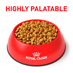 Royal Canin Urinary SO bowl served illustrating appealing meal presentation