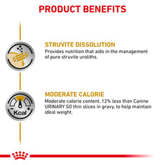 Royal Canin Urinary SO Moderate Calorie texture closeup in gravyâtasty texture for dogs.