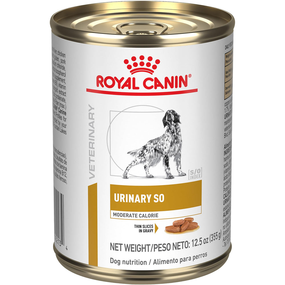 Royal Canin Urinary SO Moderate Calorie thin-slices in gravyâpalatable urinary support in a meal.