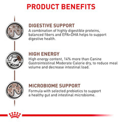 ROYAL CANIN Gastrointestinal dog food in bowl during mealtime