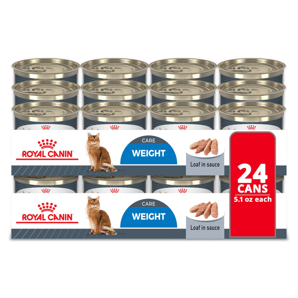 Royal Canin Weight Care Loaf in Sauce image1 showcases a palatable wet cat food for weight management.