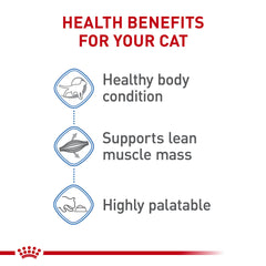 Royal Canin Weight Care thin slices in gravy on a plate to entice meals.