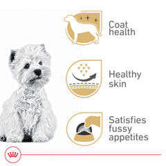 Royal Canin West Highland White Terrier kibble shape designed for easy chewing