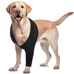 ROZKITCH recovery sleeve on the dog's right front leg for wound protection and comfort