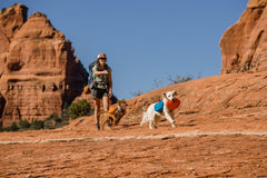 Ruffwear Camp Flyer Disc waterproof TPU finish doubles as a bowl.