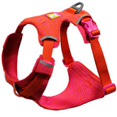 Ruffwear Front Range Flex harness side view showing flexible fit for daily adventures.