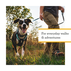 Ruffwear Hi and Light size chart view for quick fitting.