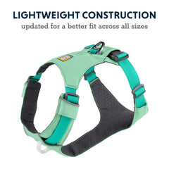 Rear V-Ring clip shown for easy daily walks.