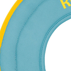 Ruffwear Hydro Plane dog catching disc for successful fetch sessions