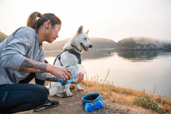 Ruffwear Quencher low-profile base prevents tipping during active dogs.