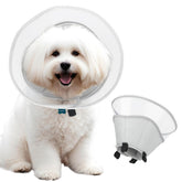 Runeap soft dog cone collar on a large dog, protecting wounds after surgery.