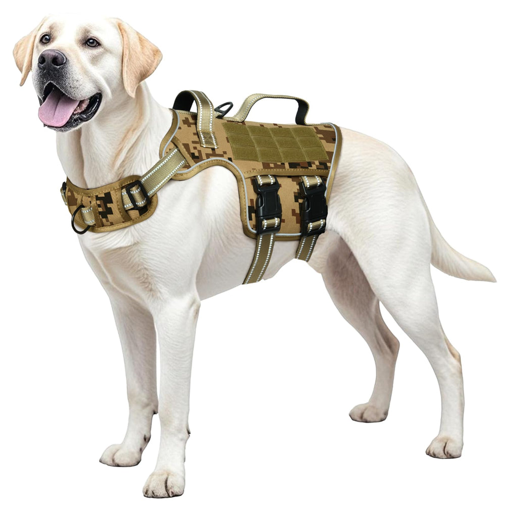 RunFido No-Pull Front-Clip Harness supports calmer, more controlled walks.