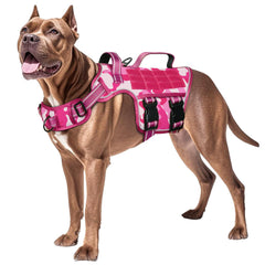 RunFido harness front view with quick-release buckles for effortless on-off during walks.