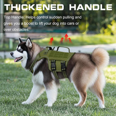 RunFido harness with MOLLE system webbing for versatile accessory carrying.