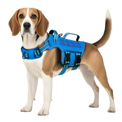 RunFido Tactical Dog Harness front view showing comfortable fit for daily walks.