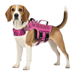 RunFido Tactical Harness for a medium dog on a walk with secure comfort.