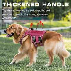 RunFido Tactical Harness front-leash ring enables no-pull training on trails.