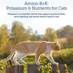 Close-up of the Rx Vitamins Amino B+K label featuring taurine and lysine for essential cat nutrition.