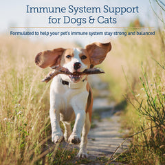 CurcuWIN chew tabs closeup, easy to administer and supports immune health.