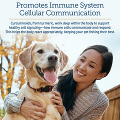 Rx Vitamins CurcuWIN dog chew ready to offer a tasty supplement.