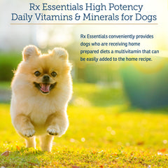 Rx Vitamins Essentials for Dogs serving spoon ready for mixing with meals