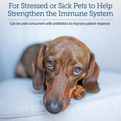 Rx Vitamins Immuno Support for dogs shows dosing guidance for 25β50 lb pets.