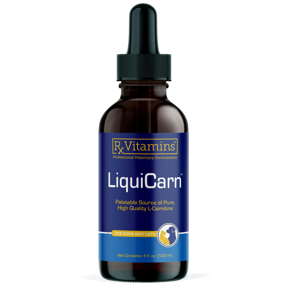 Rx Vitamins LiquiCarn bottle pour shows pure L-Carnitine for energy support.