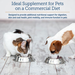 Rx Vitamins Nutritional Support vitamin C focus for canine and feline immunity.