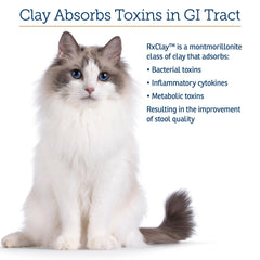 Rx Vitamins close-up of clay powder texture for natural detox support in pets.