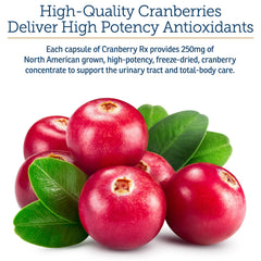 Rx Vitamins safe and natural cranberry formula free from preservatives.