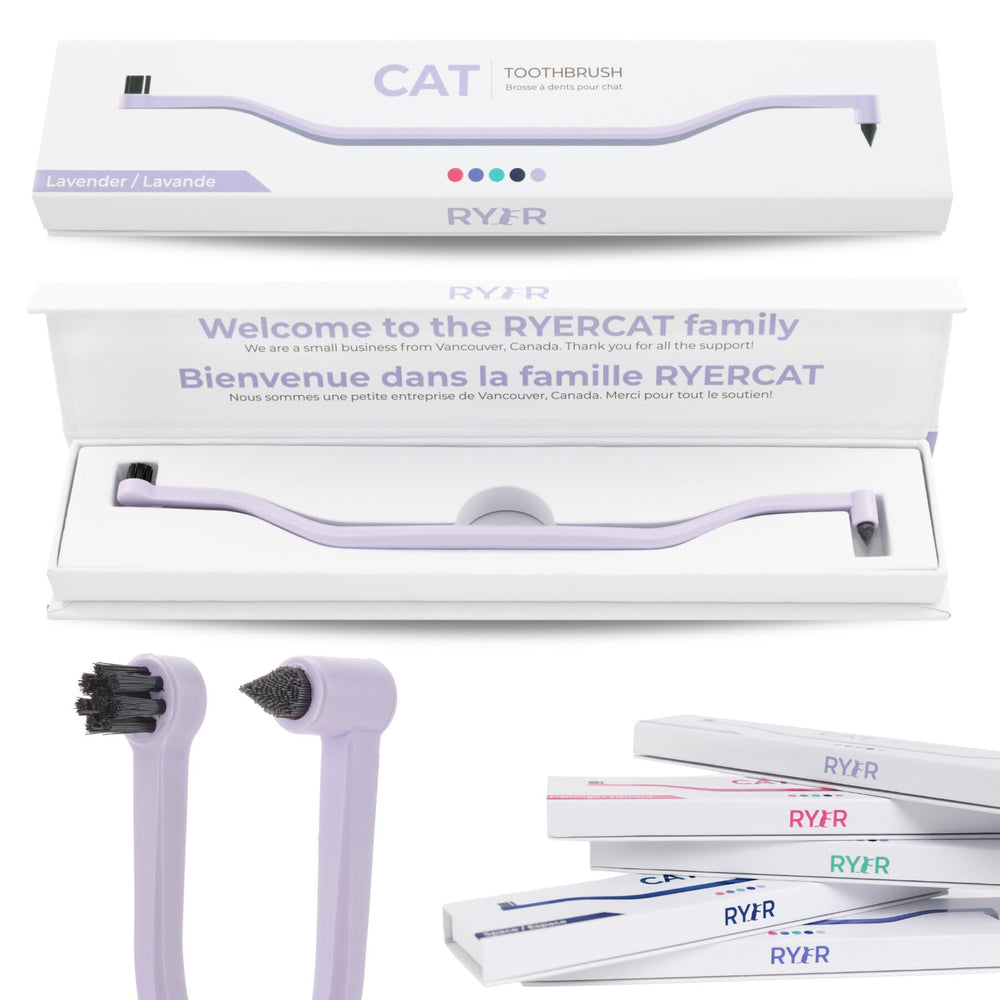 RYERCAT Lavender Dual Sided Cat Toothbrush designed for small mouths