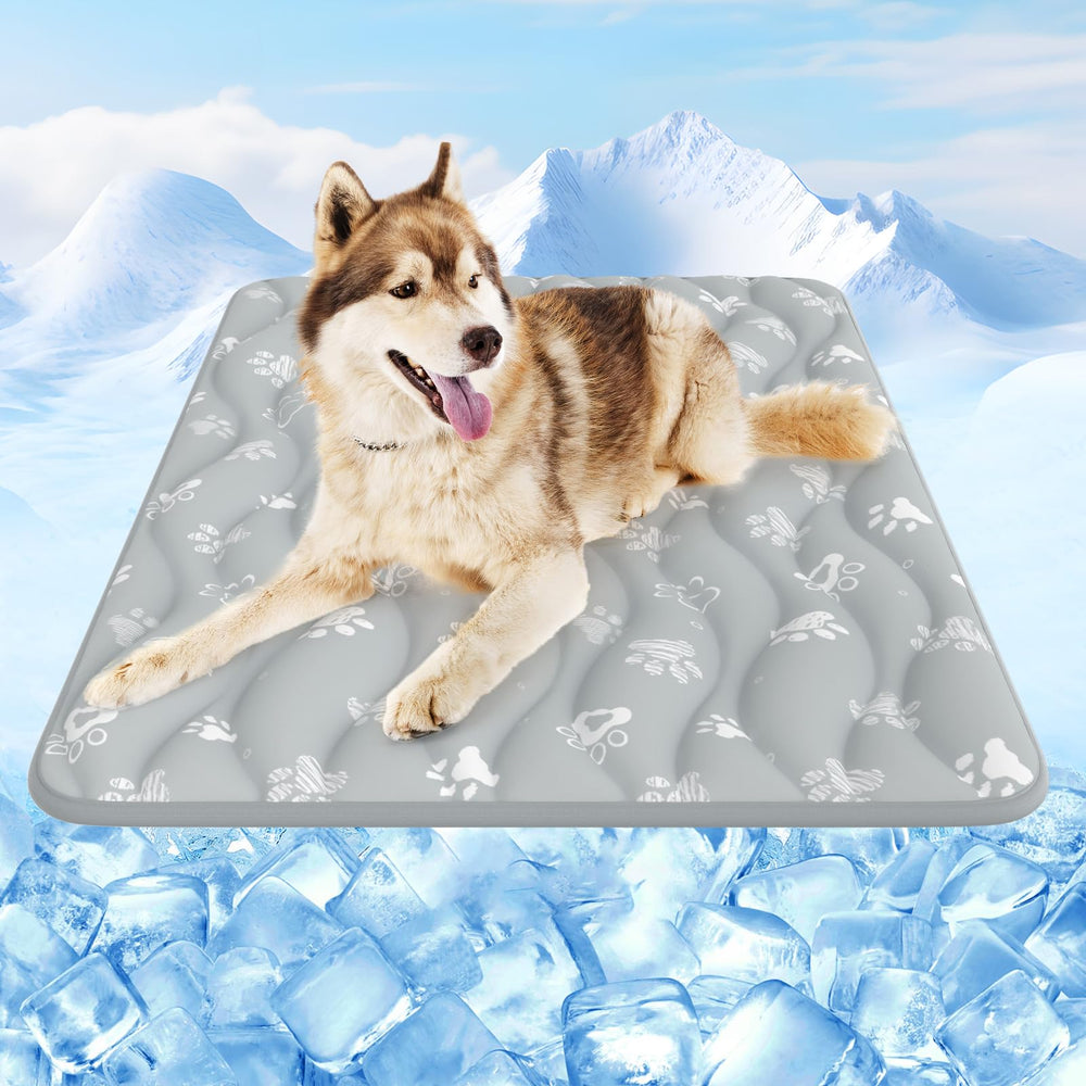 Rywell Arc-Chill 3.0 cooling mat on floor cools active pets after play.