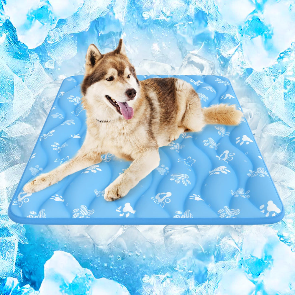 Rywell Arc-Chill 3.0 cooling mat on floor provides cool relief after play.